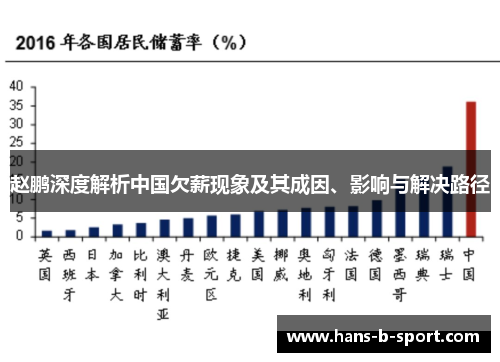 赵鹏深度解析中国欠薪现象及其成因、影响与解决路径